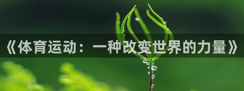 星速体育直播下载手机版安装：《体育运动：一种改变世界的力量》