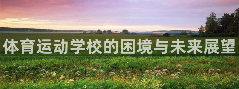 星速体育头狼：体育运动学校的困境与未来展望