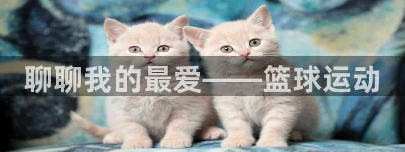 星速体育ios：聊聊我的最爱——篮球运动