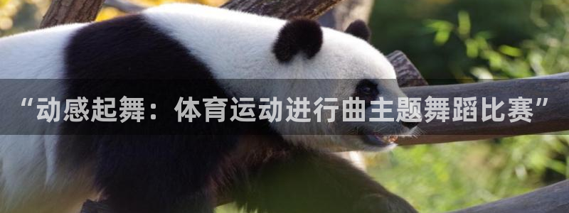 星速体育app免费下载安装：“动感起舞：体育运动进行曲主题舞蹈比赛”