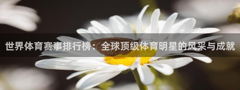 星速体育免费下载：世界体育赛事排行榜：全球顶级体育明星的风采与成就