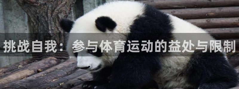 星速体育比分赛事：挑战自我：参与体育运动的益处与限制