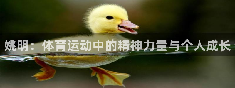 星速体育比分赛事：姚明：体育运动中的精神力量与个人成长