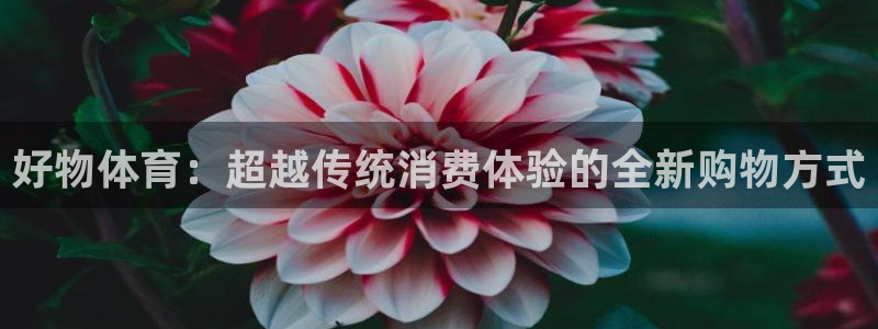 星速体育app：好物体育：超越传统消费体验的全新购物方式