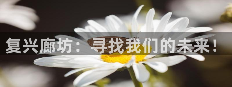 星速体育网脂1267碘top：复兴廊坊：寻找我们的未来！