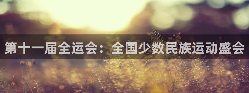 下载星速体育：第十一届全运会：全国少数民族运动盛会